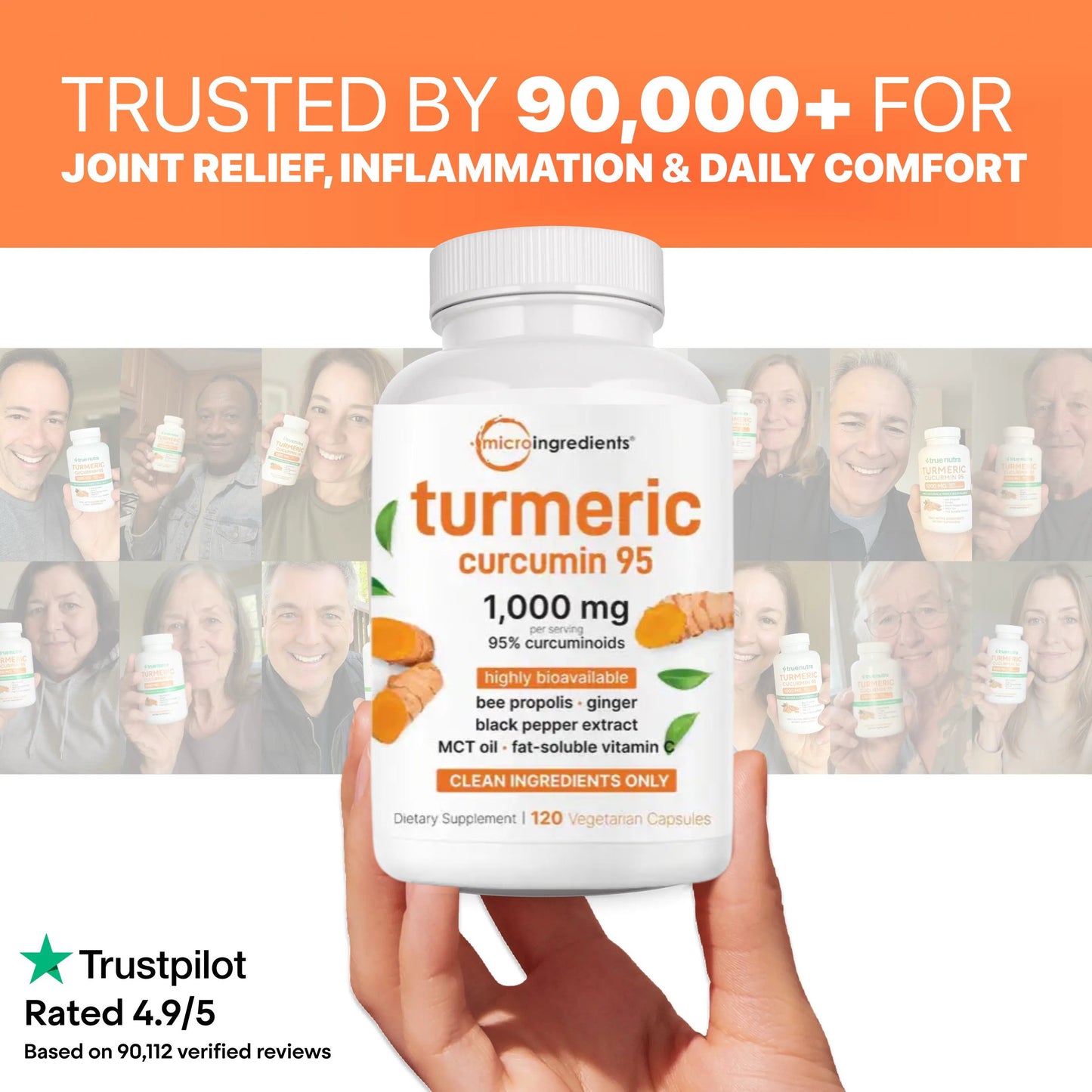 Turmeric Curcumin 95