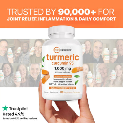 Turmeric Curcumin 95